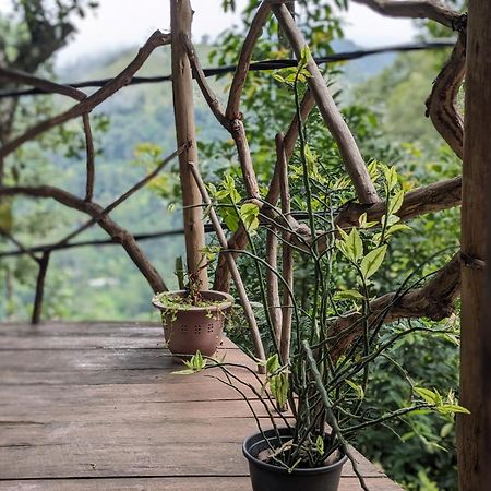Ella Nature Nest ภายนอก รูปภาพ