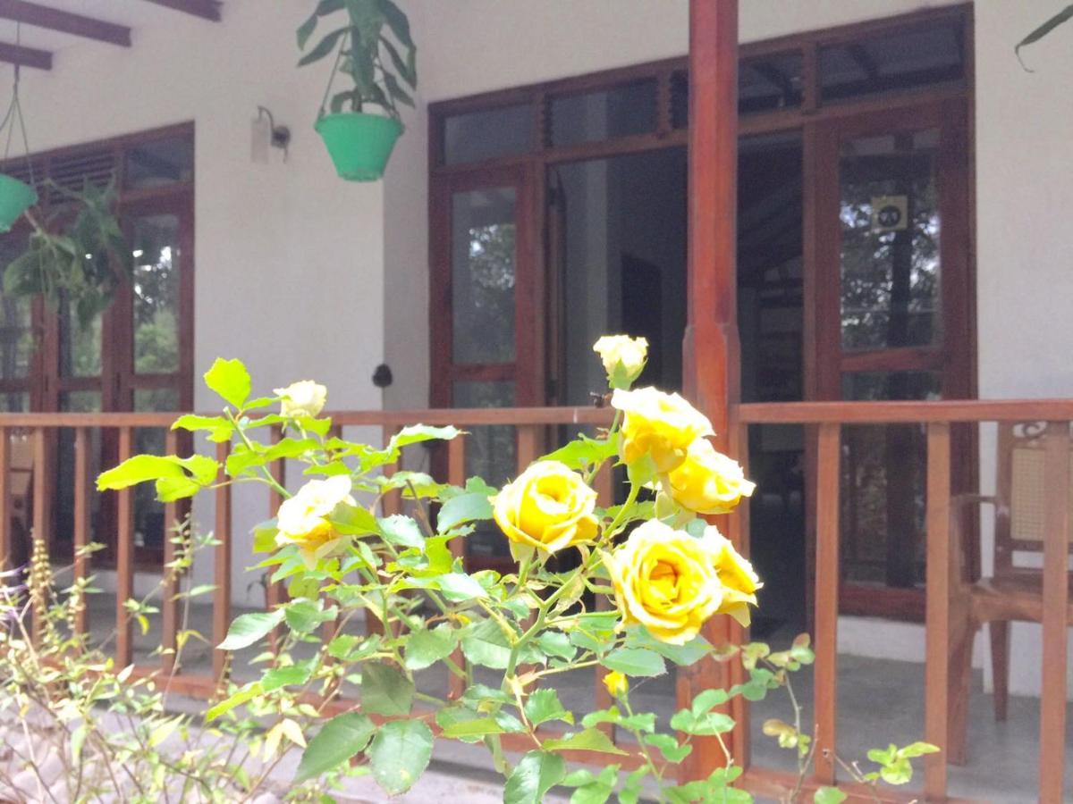 Ella Nature Nest ภายนอก รูปภาพ