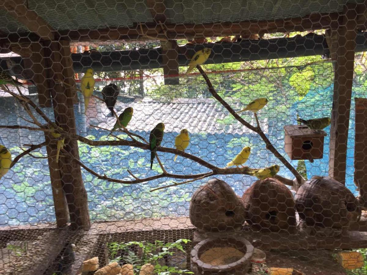 Ella Nature Nest ภายนอก รูปภาพ