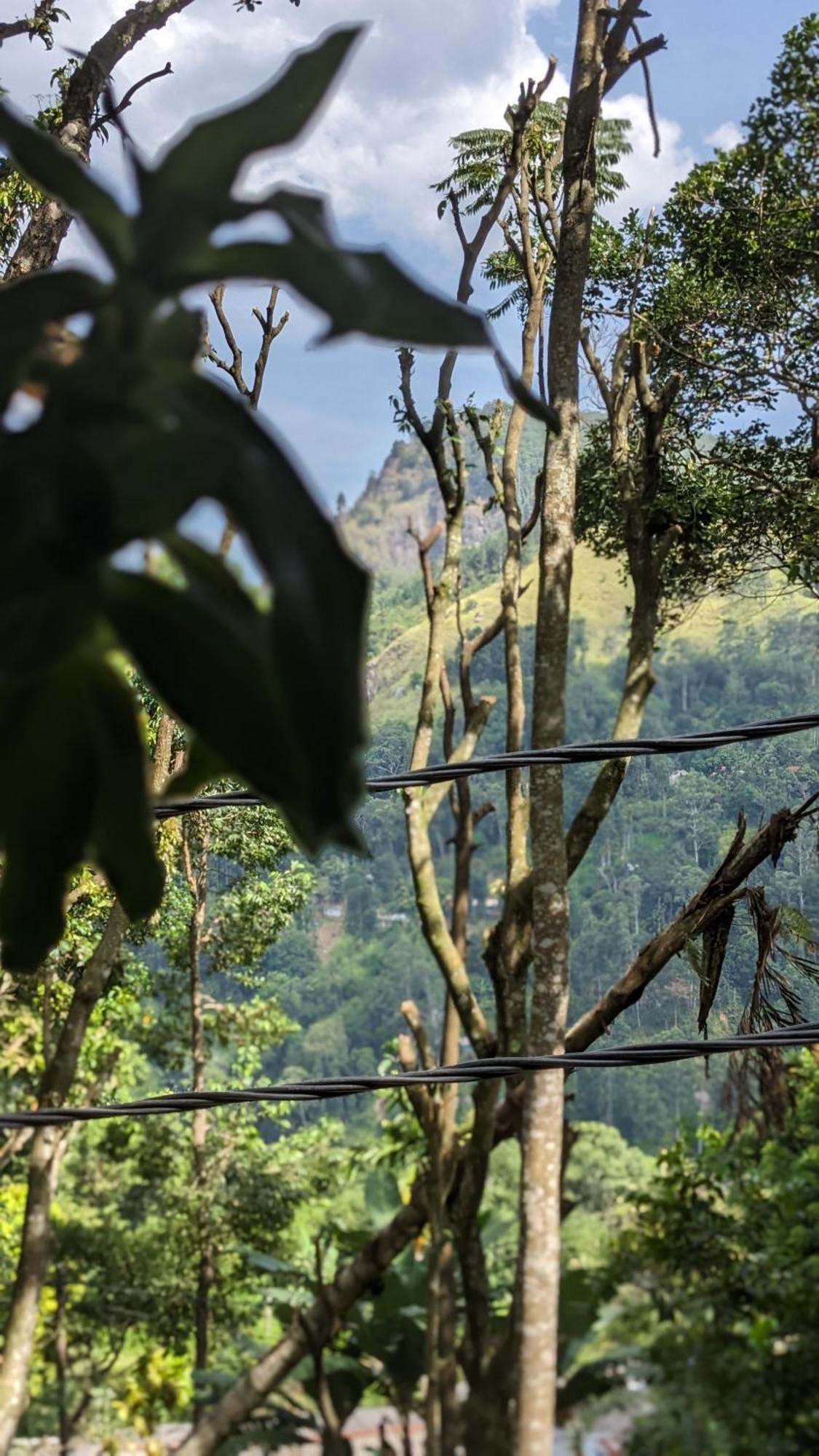 Ella Nature Nest ภายนอก รูปภาพ