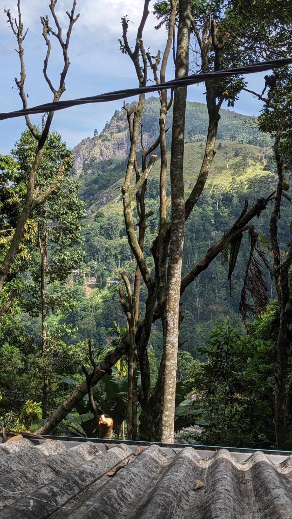Ella Nature Nest ภายนอก รูปภาพ