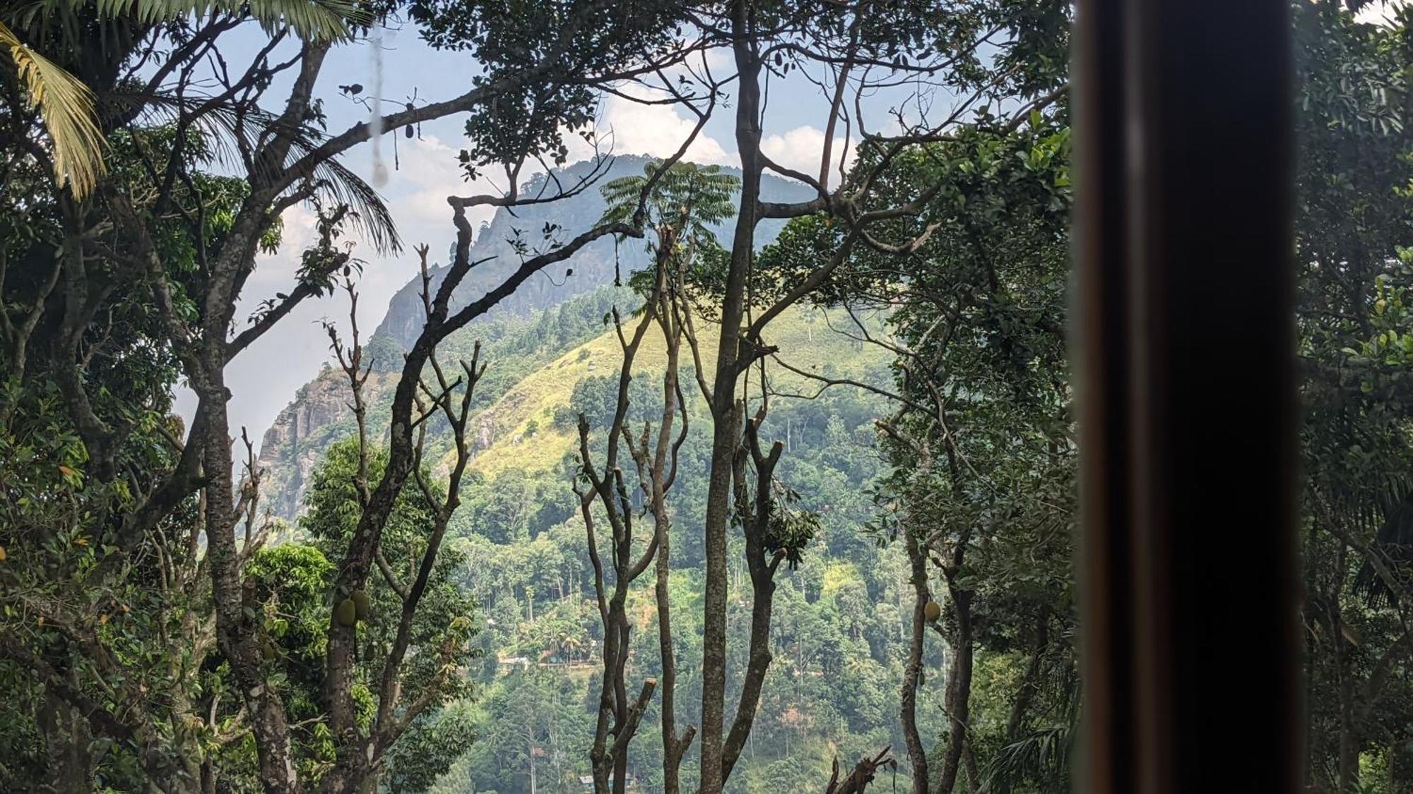 Ella Nature Nest ภายนอก รูปภาพ