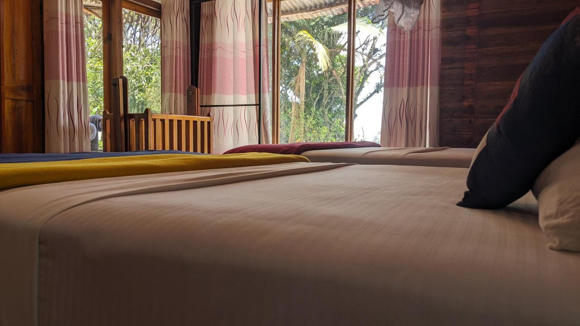 Ella Nature Nest ภายนอก รูปภาพ