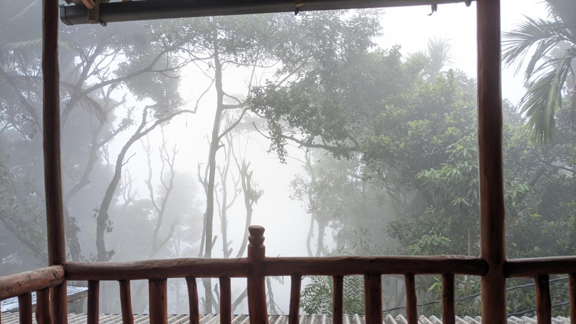 Ella Nature Nest ภายนอก รูปภาพ
